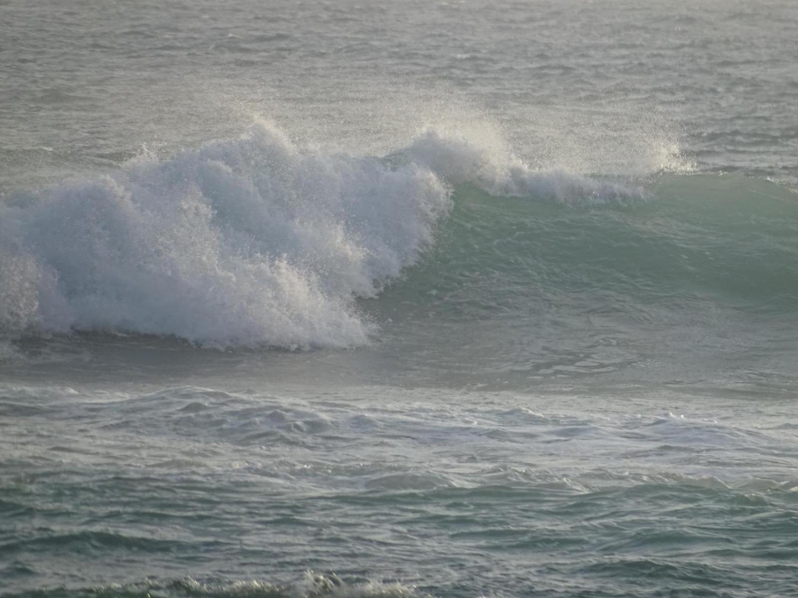 Shehara Sun Surf Lodge Midigama Timur Bagian luar foto